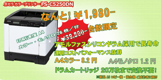 FS-C5250DN  1,980~